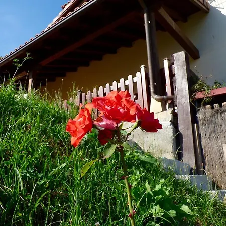 Casa rural La Casona De Palu