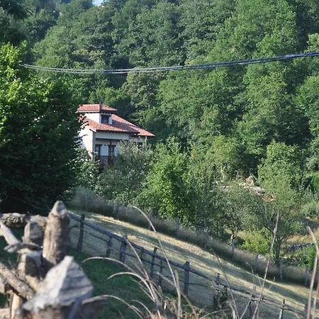 Casa rural La Casona De Palu *