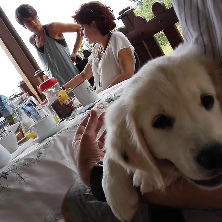 La Casona De Palu * Pola de Laviana