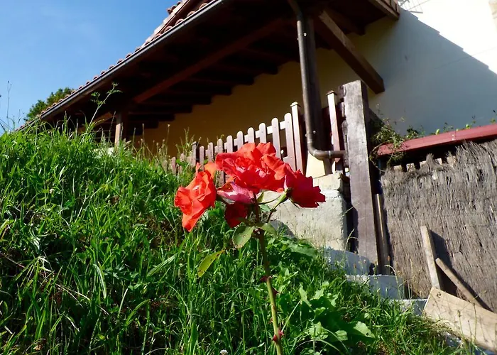 Landhaus La Casona De Palu