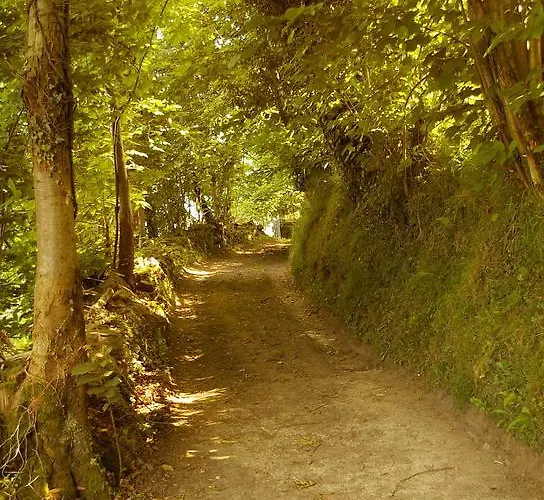 La Casona De Palu Pola de Laviana