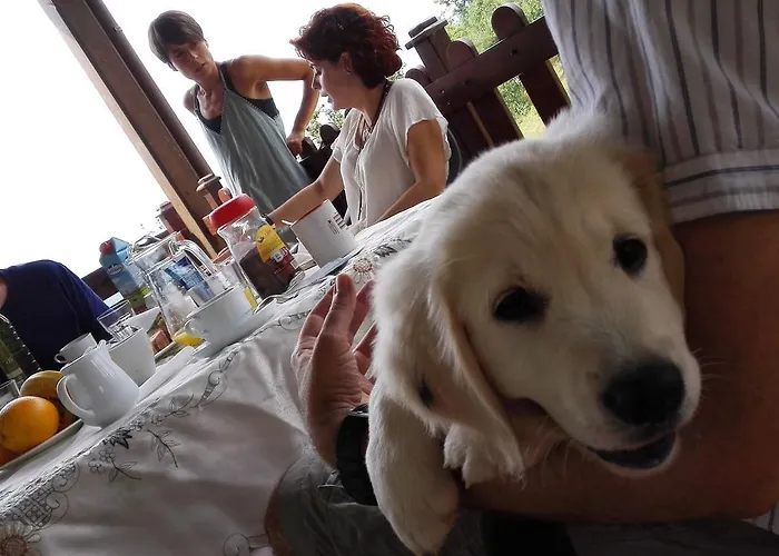 La Casona De Palu * Pola de Laviana